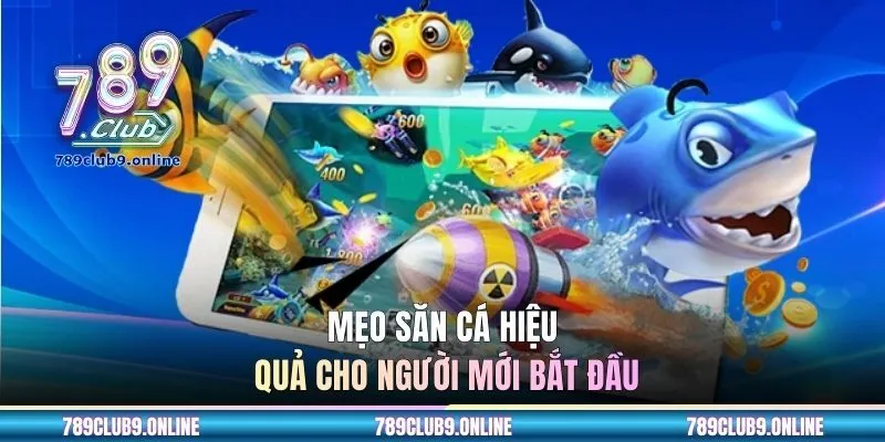 Mẹo săn cá hiệu quả cho tân binh